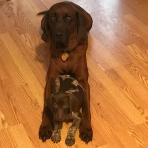 Meet your Posher, John